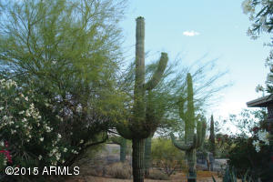 1919 E Tanya Rd, Phoenix, AZ 85086 photo 15