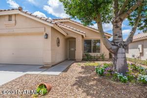 11031 E Delta Ave, Mesa, AZ 85208 photo 3