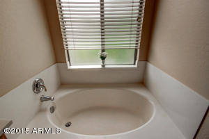 1024 E Frye Rd #1062, Phoenix, AZ 85048 photo 34