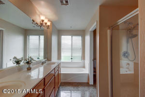 1024 E Frye Rd #1062, Phoenix, AZ 85048 photo 31