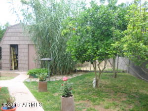 9949 E Hammond Ln, Mesa, AZ 85207 photo 23