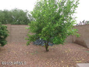 3768 S Bowman Rd, Apache Junction, AZ 85119 photo 22