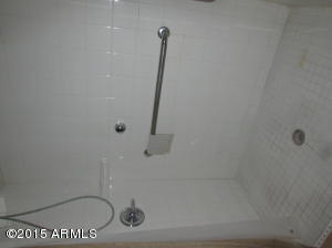 3768 S Bowman Rd, Apache Junction, AZ 85119 photo 13