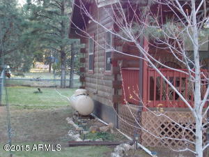 2890 Big Pine Rd, Overgaard, AZ 85933 photo 20