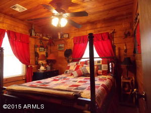 2890 Big Pine Rd, Overgaard, AZ 85933 photo 10