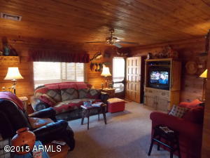 2890 Big Pine Rd, Overgaard, AZ 85933 photo 3