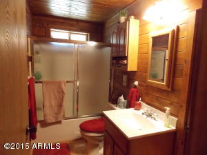 2890 Big Pine Rd, Overgaard, AZ 85933 photo 9