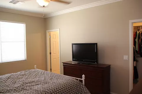 6363 S Forest Ave, Gilbert, AZ 85298 photo 14