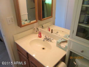 3053 W Crocus Dr, Phoenix, AZ 85053 photo 25