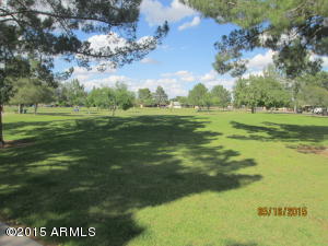 3053 W Crocus Dr, Phoenix, AZ 85053 photo 35