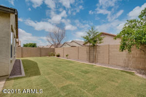 11102 E Serafina Ave, Mesa, AZ 85212 photo 39