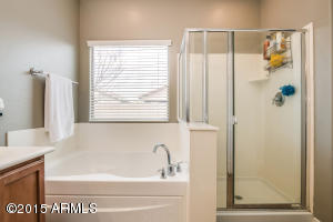11102 E Serafina Ave, Mesa, AZ 85212 photo 35