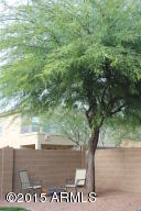 3062 E Andre Ave, Gilbert, AZ 85298 photo 39