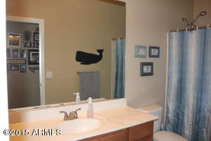3062 E Andre Ave, Gilbert, AZ 85298 photo 19