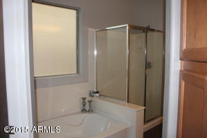 3062 E Andre Ave, Gilbert, AZ 85298 photo 30