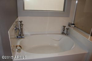 3062 E Andre Ave, Gilbert, AZ 85298 photo 31