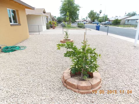 248 E Glade Ave, Mesa, AZ 85210 photo 29