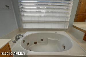 1732 E Menlo St, Mesa, AZ 85203 photo 30