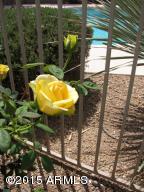 26016 N Hackberry Dr, Phoenix, AZ 85083 photo 84