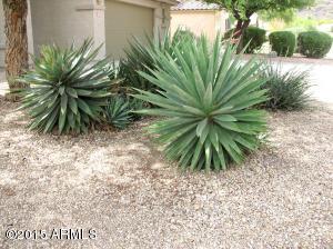 26016 N Hackberry Dr, Phoenix, AZ 85083 photo 7