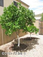 26016 N Hackberry Dr, Phoenix, AZ 85083 photo 80