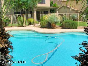 26016 N Hackberry Dr, Phoenix, AZ 85083 photo 65
