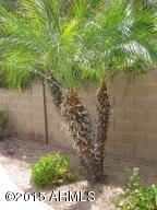26016 N Hackberry Dr, Phoenix, AZ 85083 photo 77