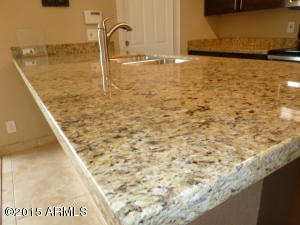 1043 E Millett Ave, Mesa, AZ 85204 photo 16