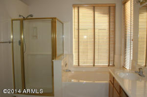 4353 E Briles Rd, Phoenix, AZ 85050 photo 25