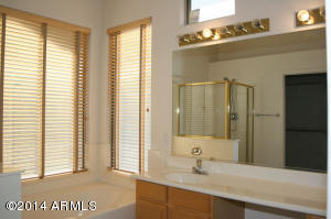 4353 E Briles Rd, Phoenix, AZ 85050 photo 23