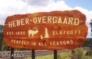 2188 Arrowhead Trl, Overgaard, AZ 85933 photo 2