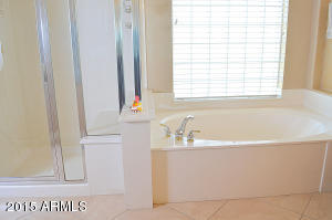 2204 W Apache Rain Rd, Phoenix, AZ 85085 photo 40
