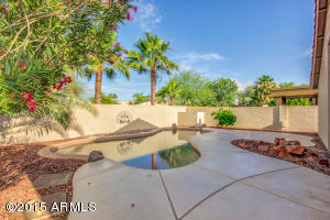 15217 S 43rd Pl, Phoenix, AZ 85044 photo 23