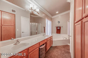 15217 S 43rd Pl, Phoenix, AZ 85044 photo 14
