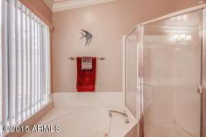 15217 S 43rd Pl, Phoenix, AZ 85044 photo 15