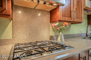 344 E Aepli Dr, Tempe, AZ 85282 photo 15