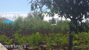 737 E Hearn Rd, Phoenix, AZ 85022 photo 30