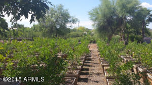 737 E Hearn Rd, Phoenix, AZ 85022 photo 29