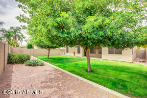 1471 E Dana Pl, Chandler, AZ 85225 photo 21
