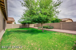 1471 E Dana Pl, Chandler, AZ 85225 photo 22