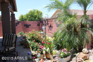 3878 E Peach Tree Dr, Chandler, AZ 85249 photo 15