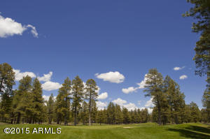 2743 Fred Breen --, Flagstaff, AZ 86005 photo 48