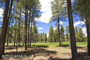 2743 Fred Breen --, Flagstaff, AZ 86005 photo 46