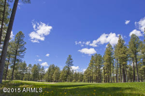 2743 Fred Breen --, Flagstaff, AZ 86005 photo 47