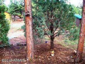 2849 Lodgepole Rd, Overgaard, AZ 85933 photo 41