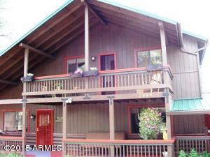 2849 Lodgepole Rd, Overgaard, AZ 85933 photo 22