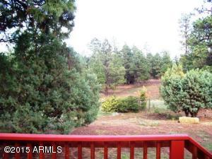 2849 Lodgepole Rd, Overgaard, AZ 85933 photo 40