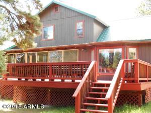 2849 Lodgepole Rd, Overgaard, AZ 85933 photo 84