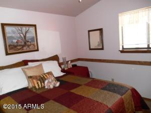 2849 Lodgepole Rd, Overgaard, AZ 85933 photo 78