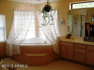 2849 Lodgepole Rd, Overgaard, AZ 85933 photo 15